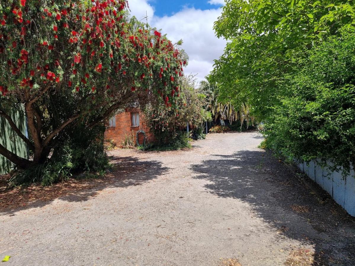 La Cochon Rose Motel Saint Arnaud Экстерьер фото