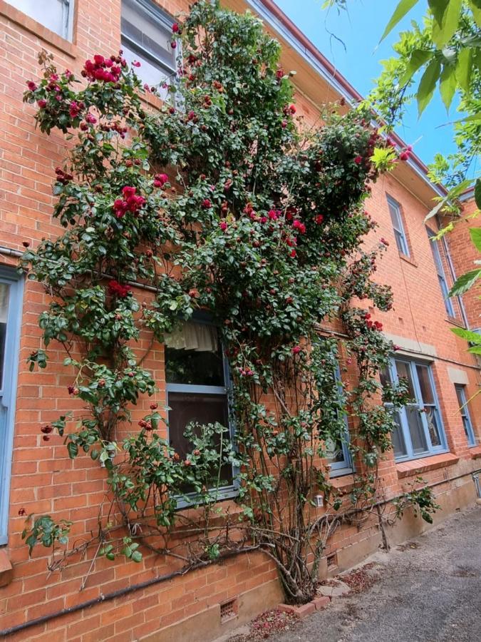 La Cochon Rose Motel Saint Arnaud Экстерьер фото