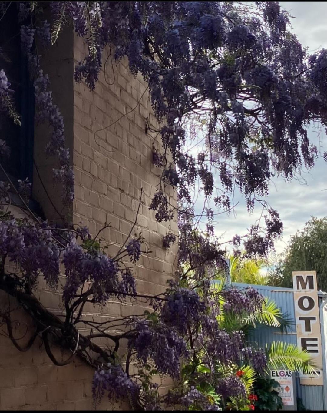 La Cochon Rose Motel Saint Arnaud Экстерьер фото